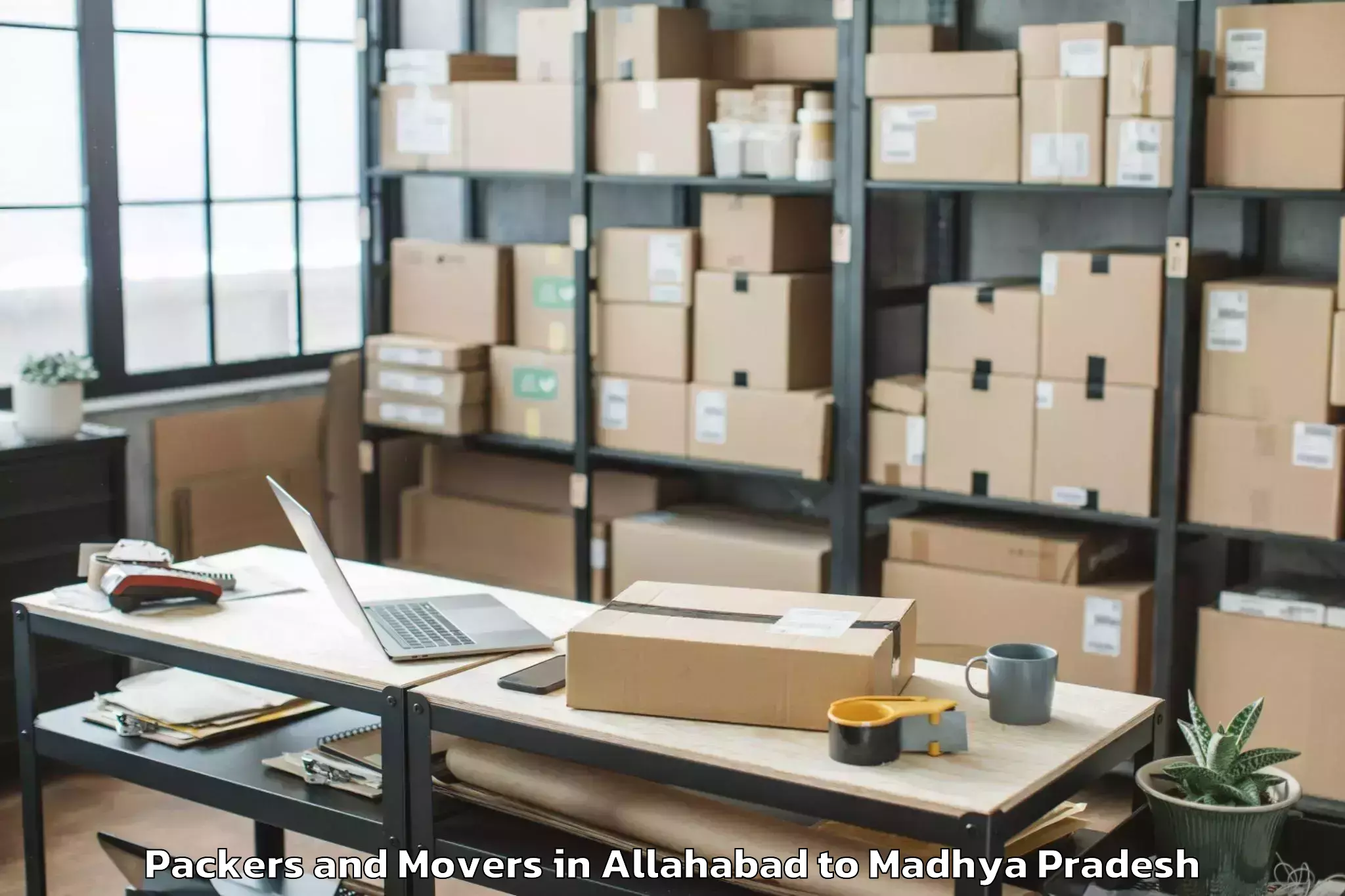 Affordable Allahabad to Mandsaur Packers And Movers